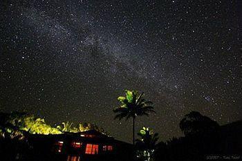 Macadamia Meadows Farm Bed & Breakfast Naalehu Dış mekan fotoğraf