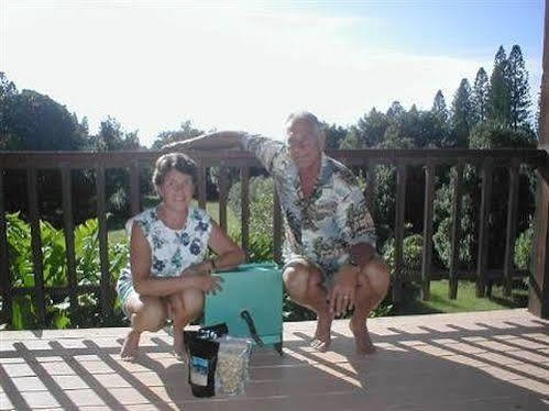Macadamia Meadows Farm Bed & Breakfast Naalehu Dış mekan fotoğraf